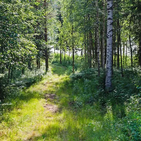 Kaeraenkkae By Interhome Hattusaari