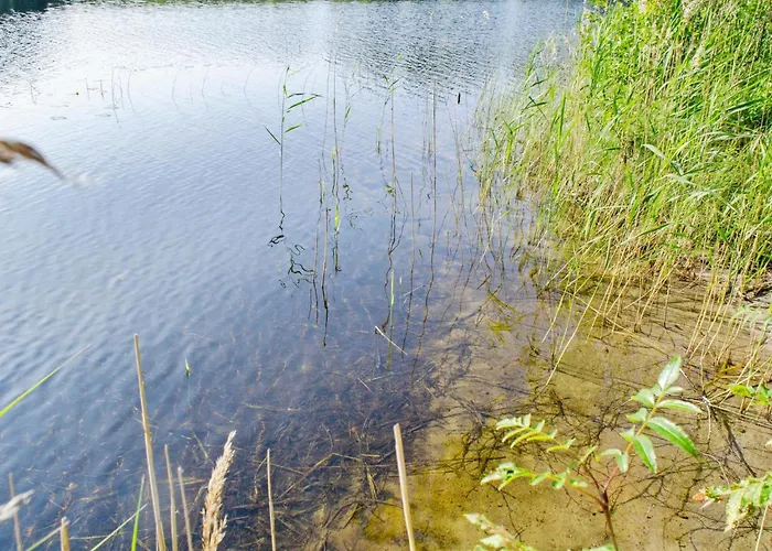 Kaeraenkkae By Interhome