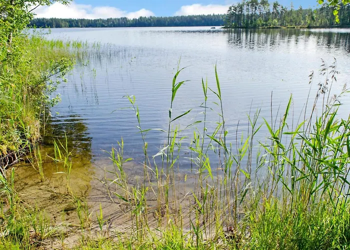 Kaeraenkkae By Interhome * Hattusaari